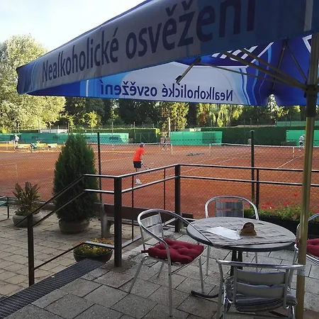 Tenis