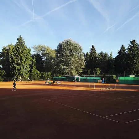 Guest house Tenis *